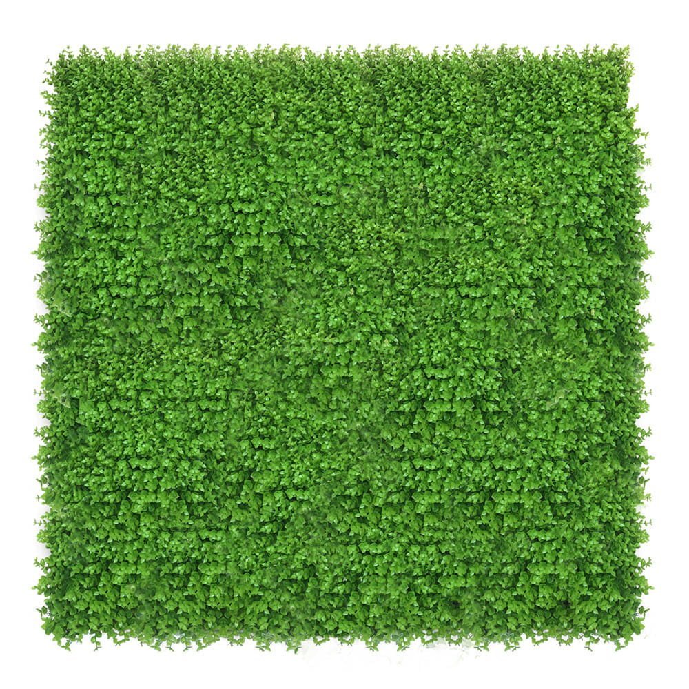 Mur végétal Wielomlecz 50x50 cm — vue ambiance