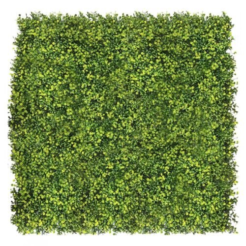 Mur végétal Ziarnopłon 50x50 cm en position verticale sur support blanc