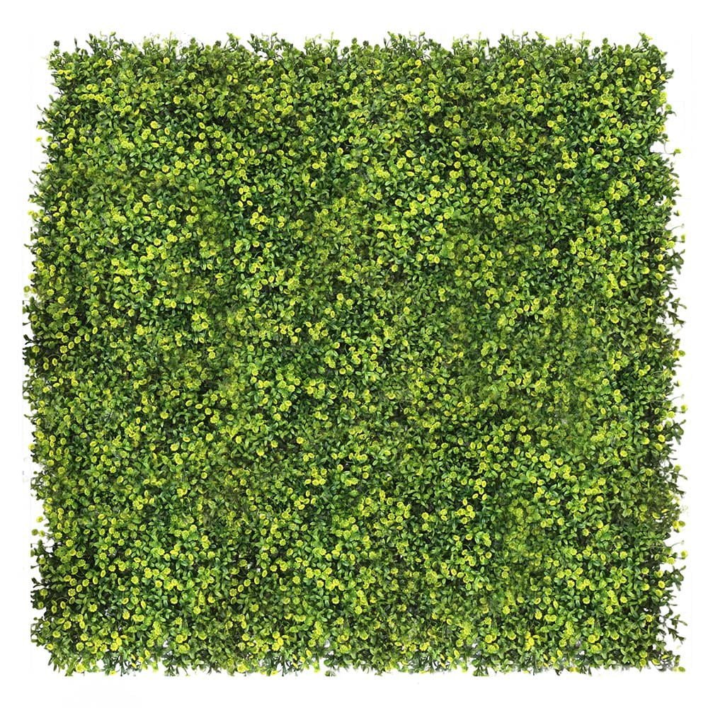 Mur végétal Ziarnopłon 50x50 cm — vue ambiance
