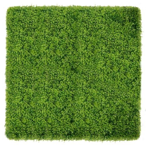Mur végétal Buxus 50x50 cm fixé au mur