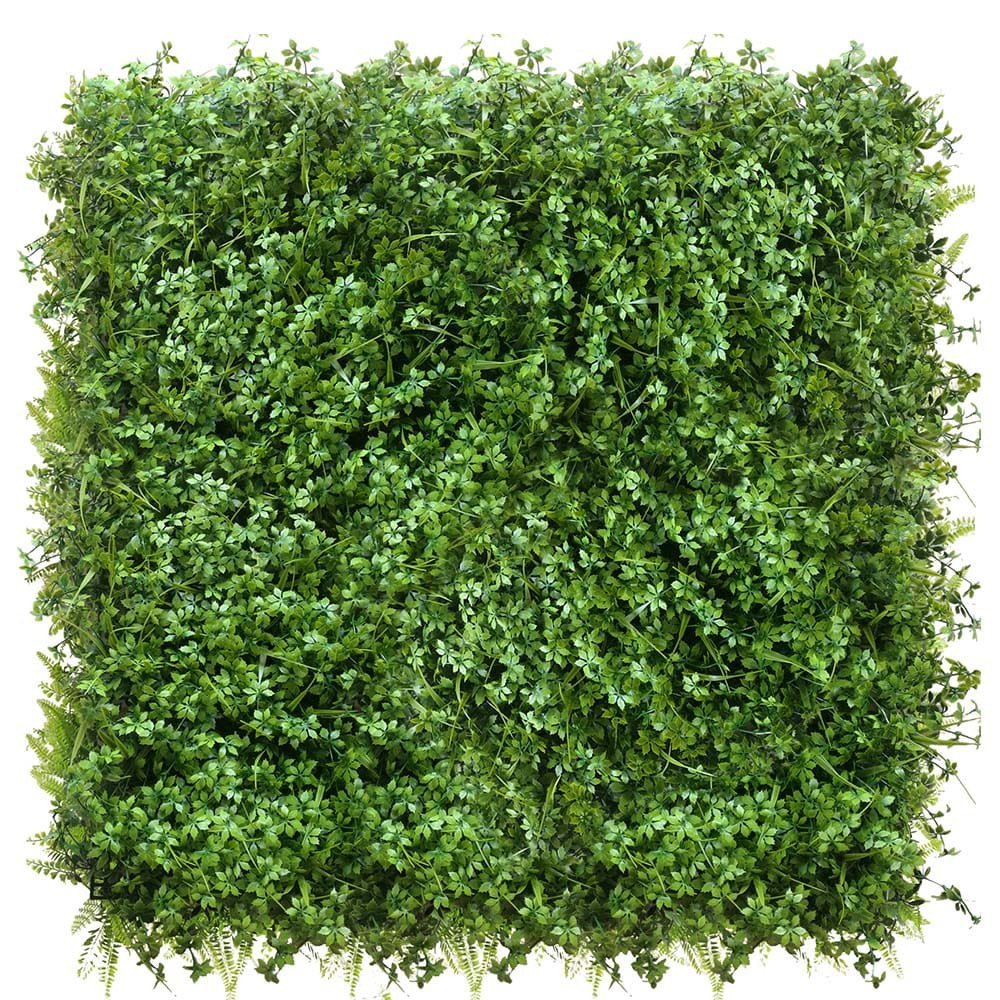 Mur vert Lubczyk 50x50 cm