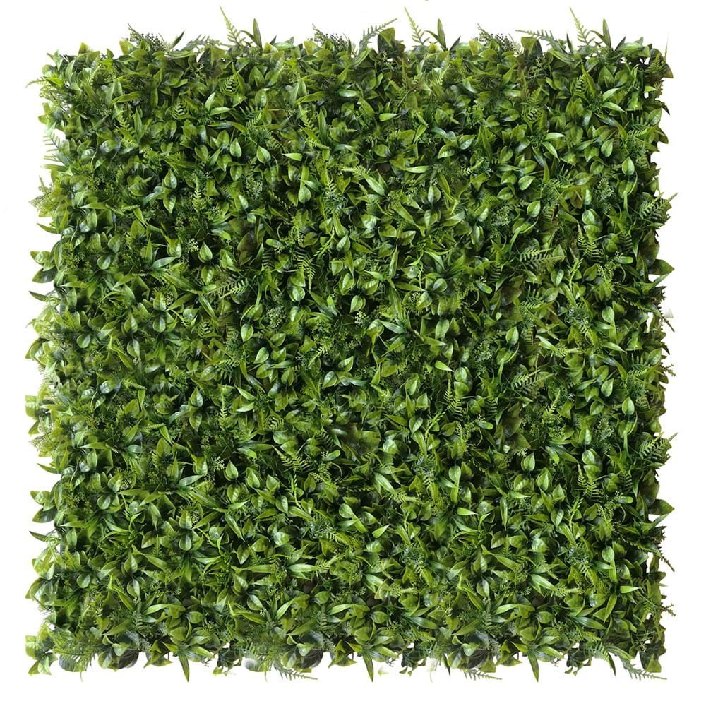 Mur végétal Peperomia 50x50 cm — vue ambiance