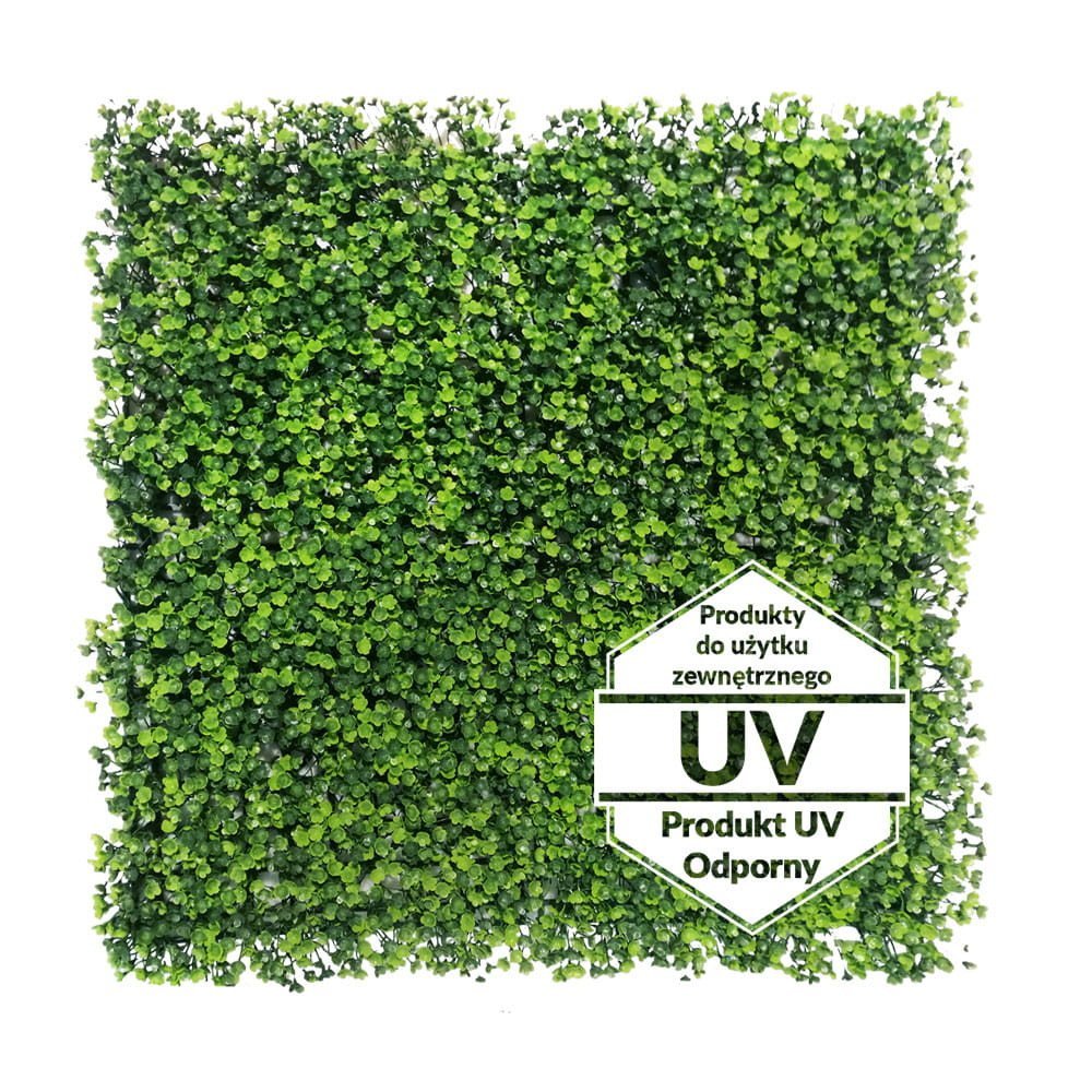Tapis vert artificiel Rzęsa UV 50x50 cm