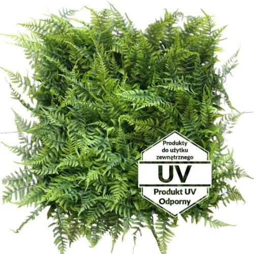 Matte artificielle verte Adiantum UV 50x50 cm pour intérieur et extérieur