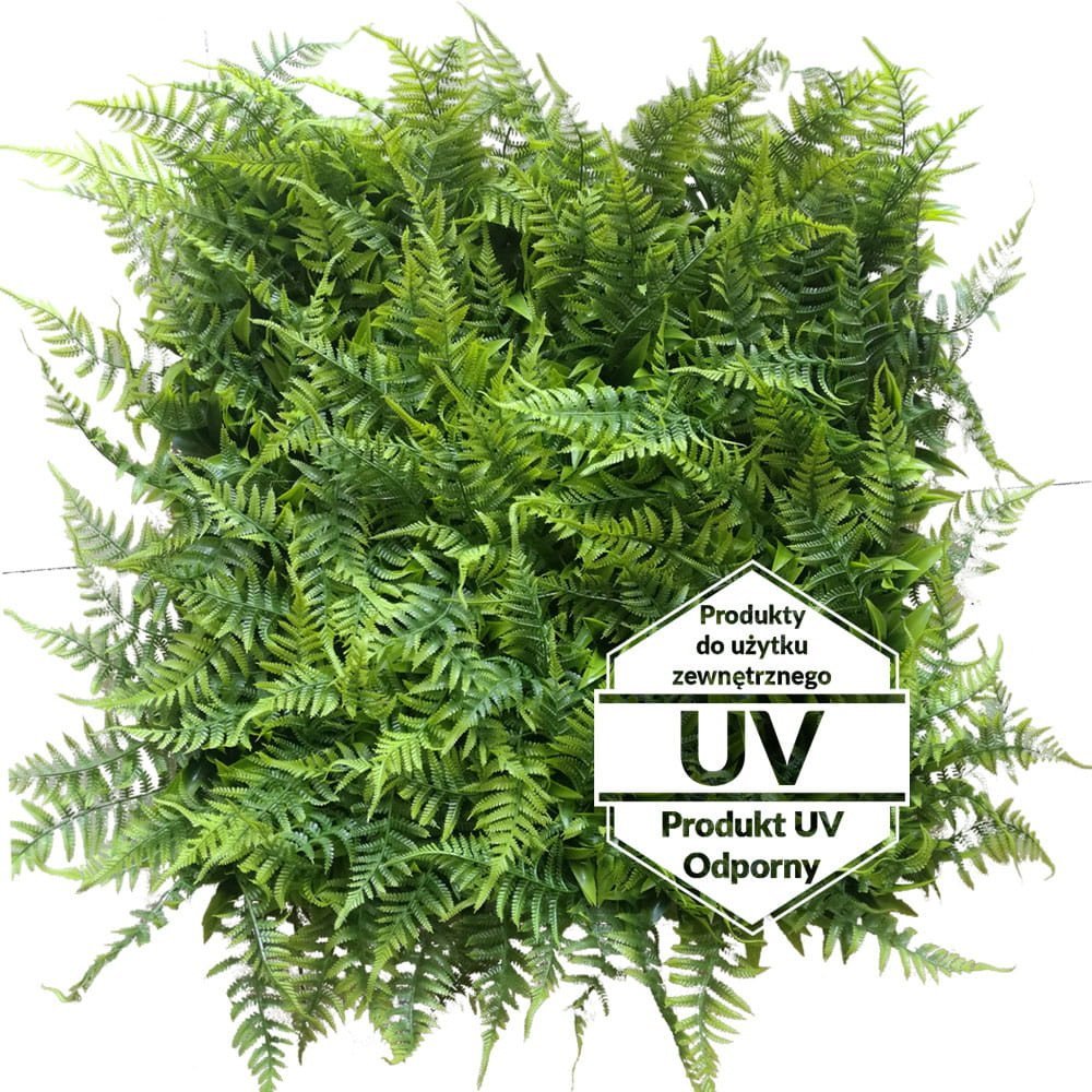 Matte artificielle verte Adiantum UV 50x50 cm