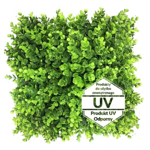 Tapis vert artificiel Wielomlecz UV 50x50 cm sur terrasse