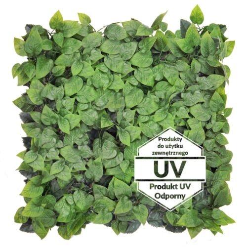 Plaque murale artificielle verte Bluszcz UV 50x50 cm, première vue produit