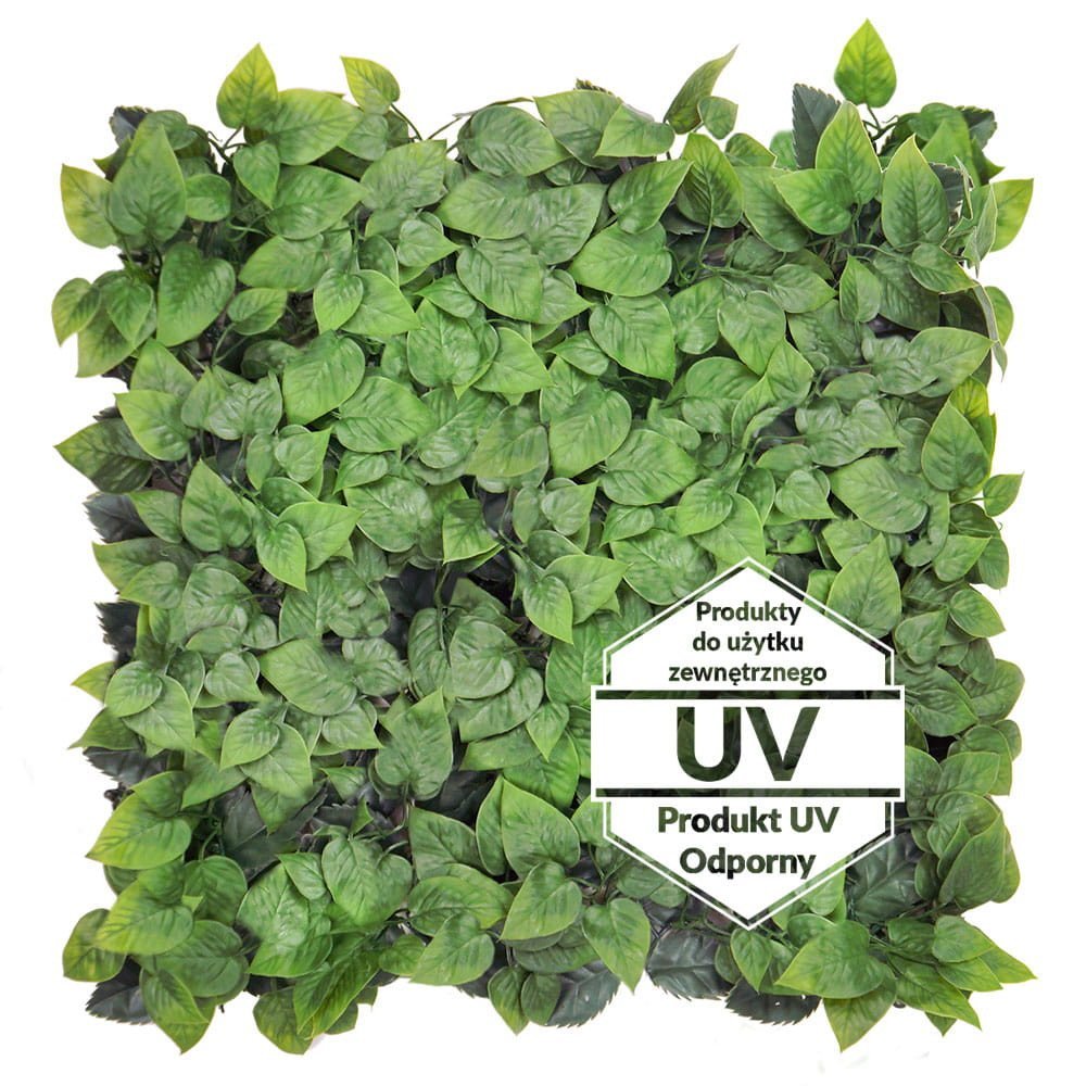 Matte artificielle verte Bluszcz UV 50x50 cm