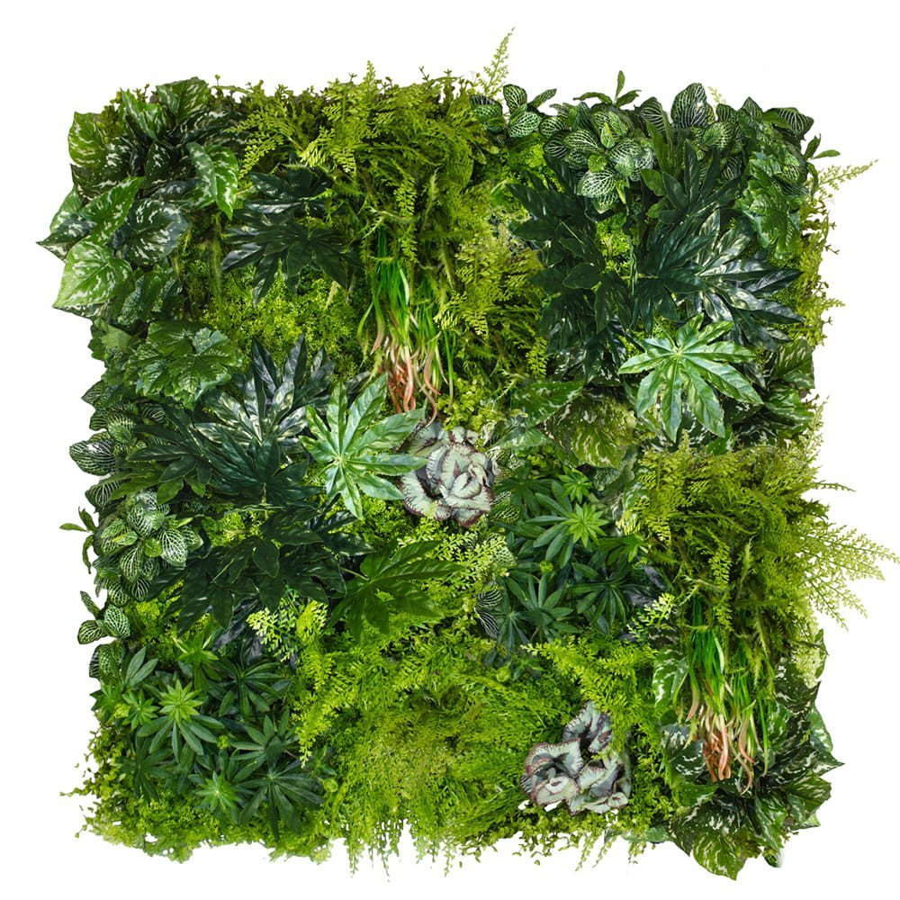 Jardin vertical tropical — vue ambiance