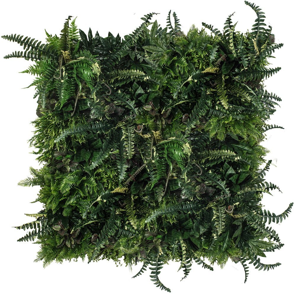 Jardin vertical Rainforest — vue ambiance