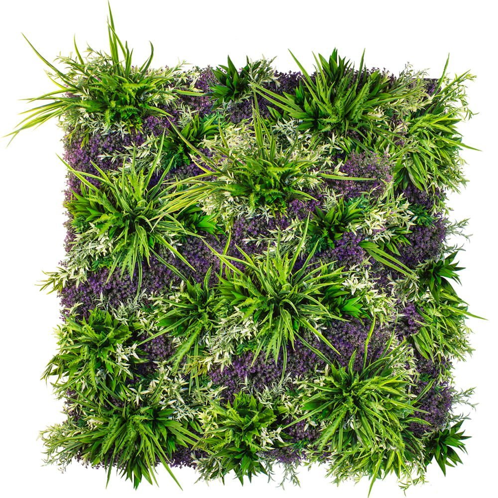 Jardin vertical Provence — vue ambiance