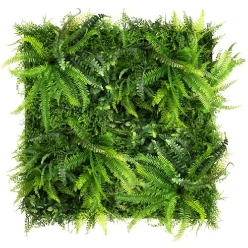 Jardin vertical Wild Fern écologique et modulable pour intérieur et extérieur