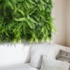 Jardin vertical Wild Fern sur support mural intérieur