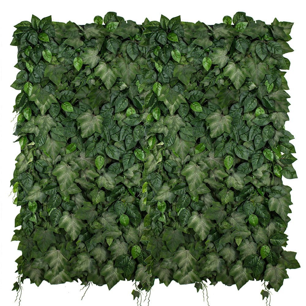 Jardin vertical Ivylace — vue ambiance