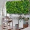 Jardin vertical Crispseed FR UV en position 18