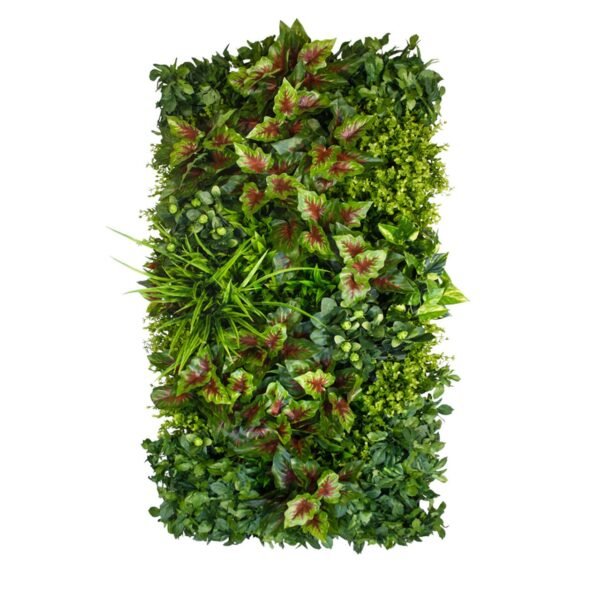 Jardin vertical indien décoration murale végétale ambiance zen