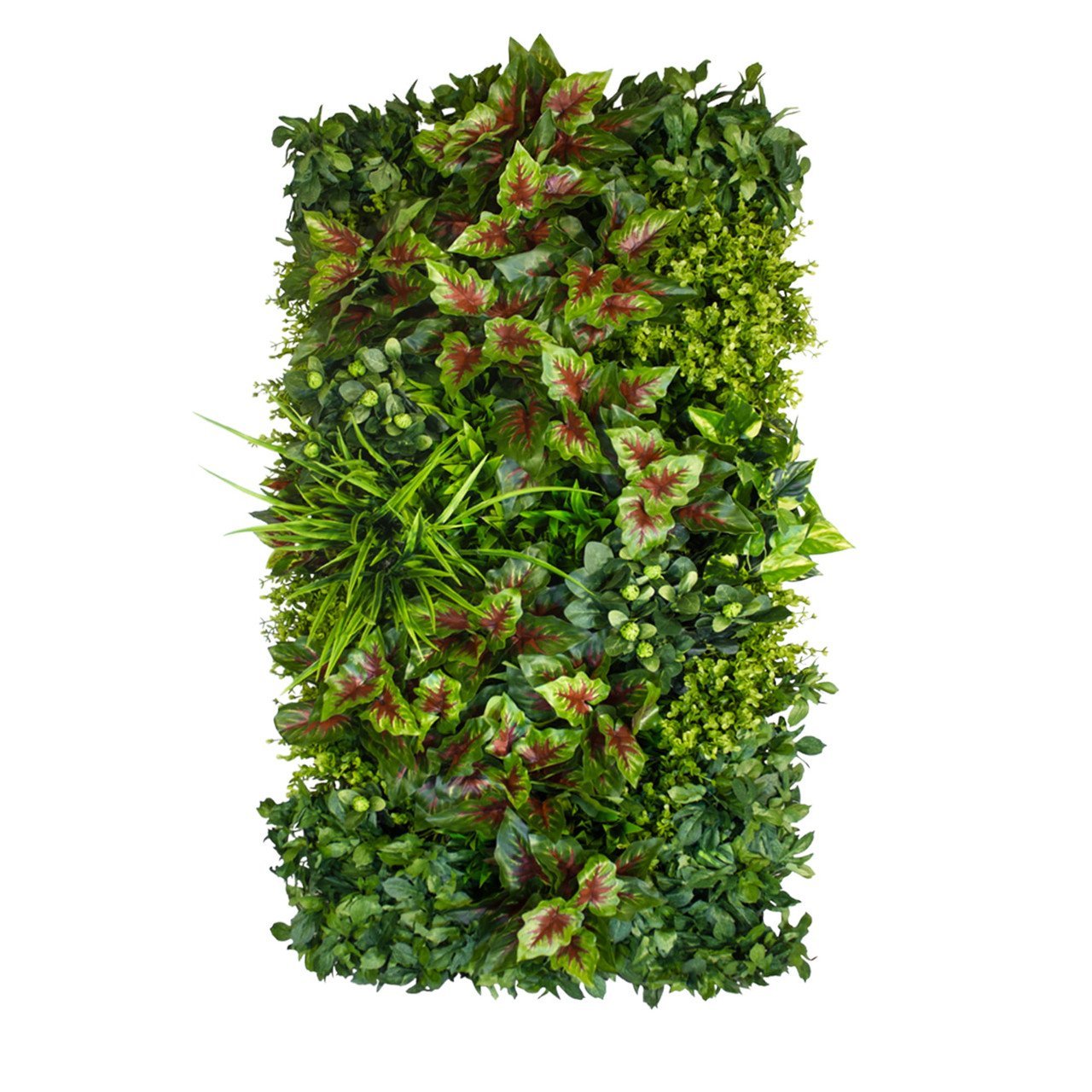 Jardin vertical indien