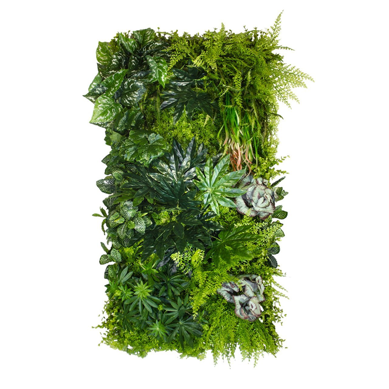 Jardin vertical tropical