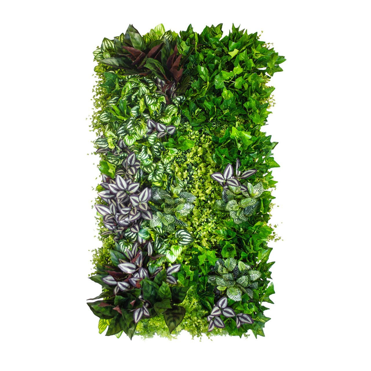 Jardin vertical Vineyard