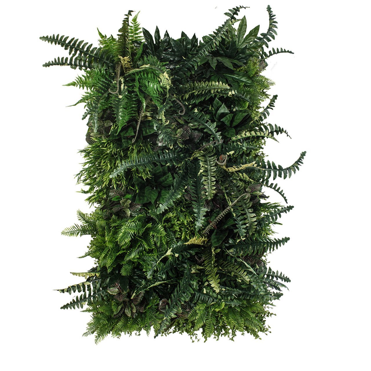 Jardin vertical Rainforest