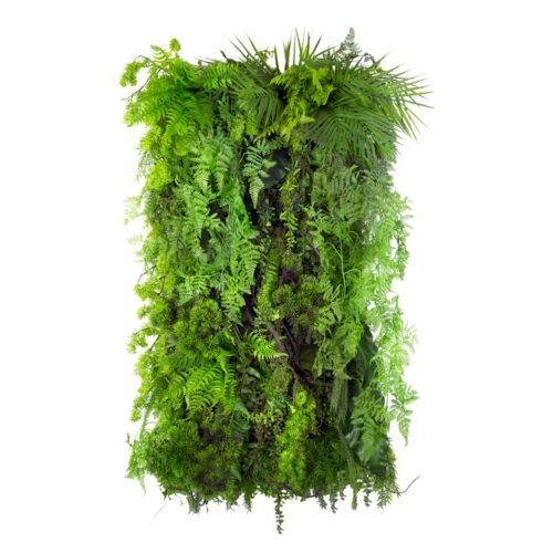 Jardin vertical Limba Wilderness en position 1
