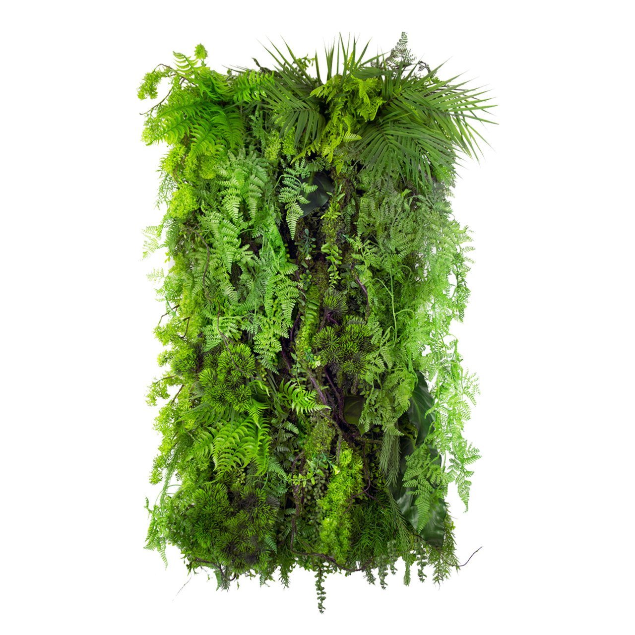 Jardin vertical Limba Wilderness