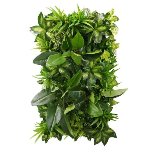 Jardin vertical Tropical Freshness en position 1