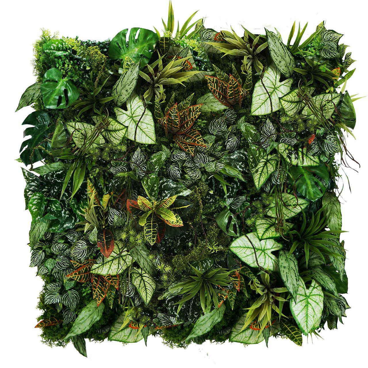 Jardin vertical Mayan Ray — vue ambiance