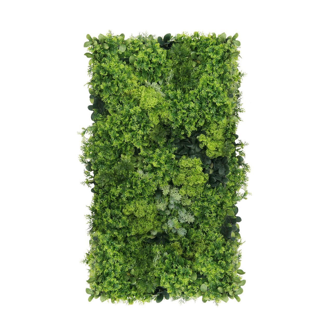 Jardin vertical Moss Mesh