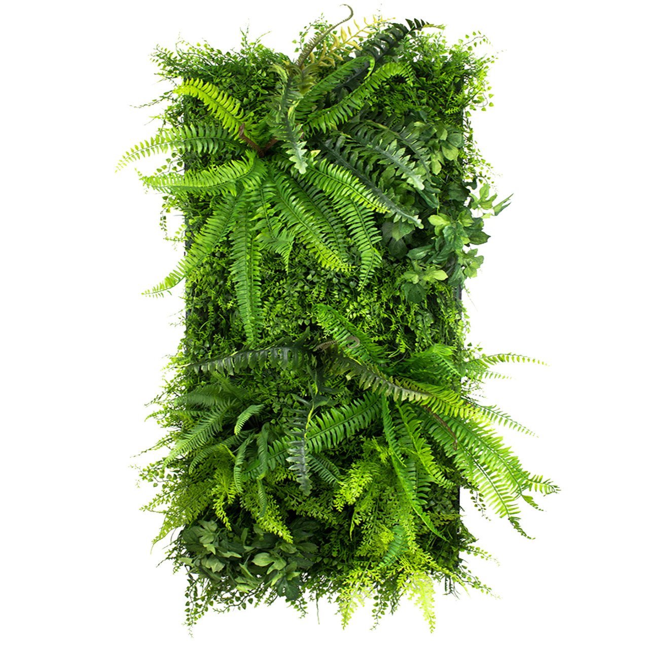 Jardin vertical Wild Fern