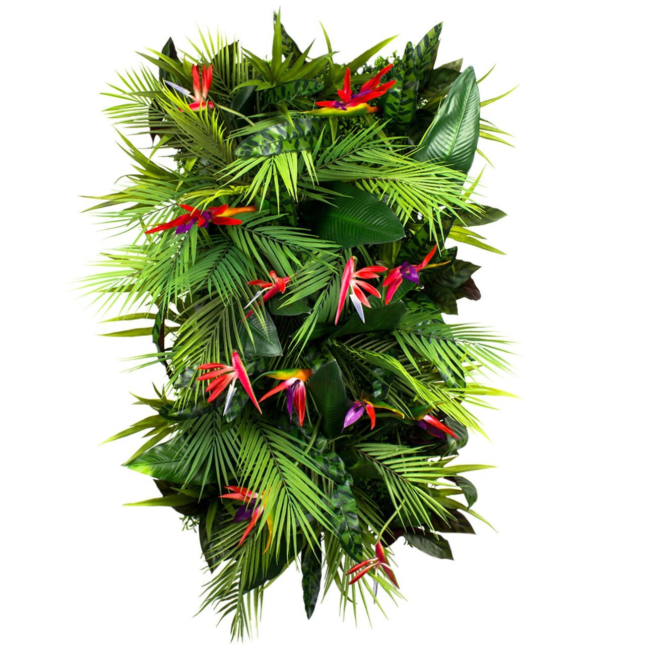 Jardin vertical Passionfruit