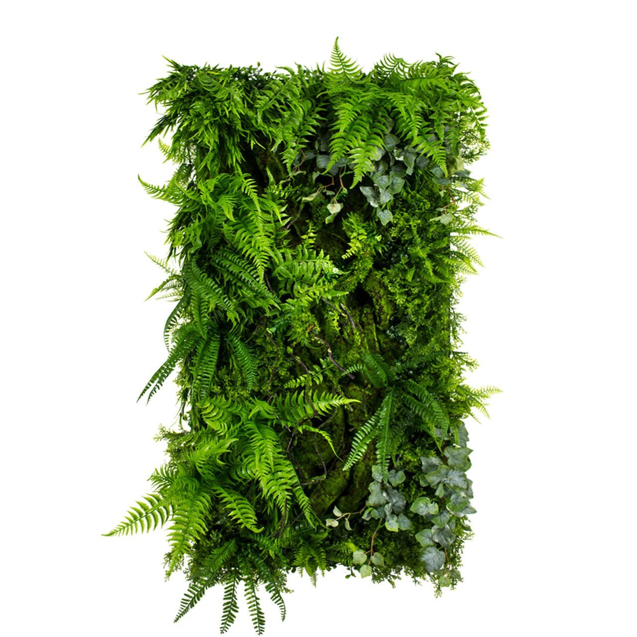 Jardin vertical Leafy Frond