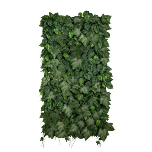 Jardin vertical Ivylace en position 1