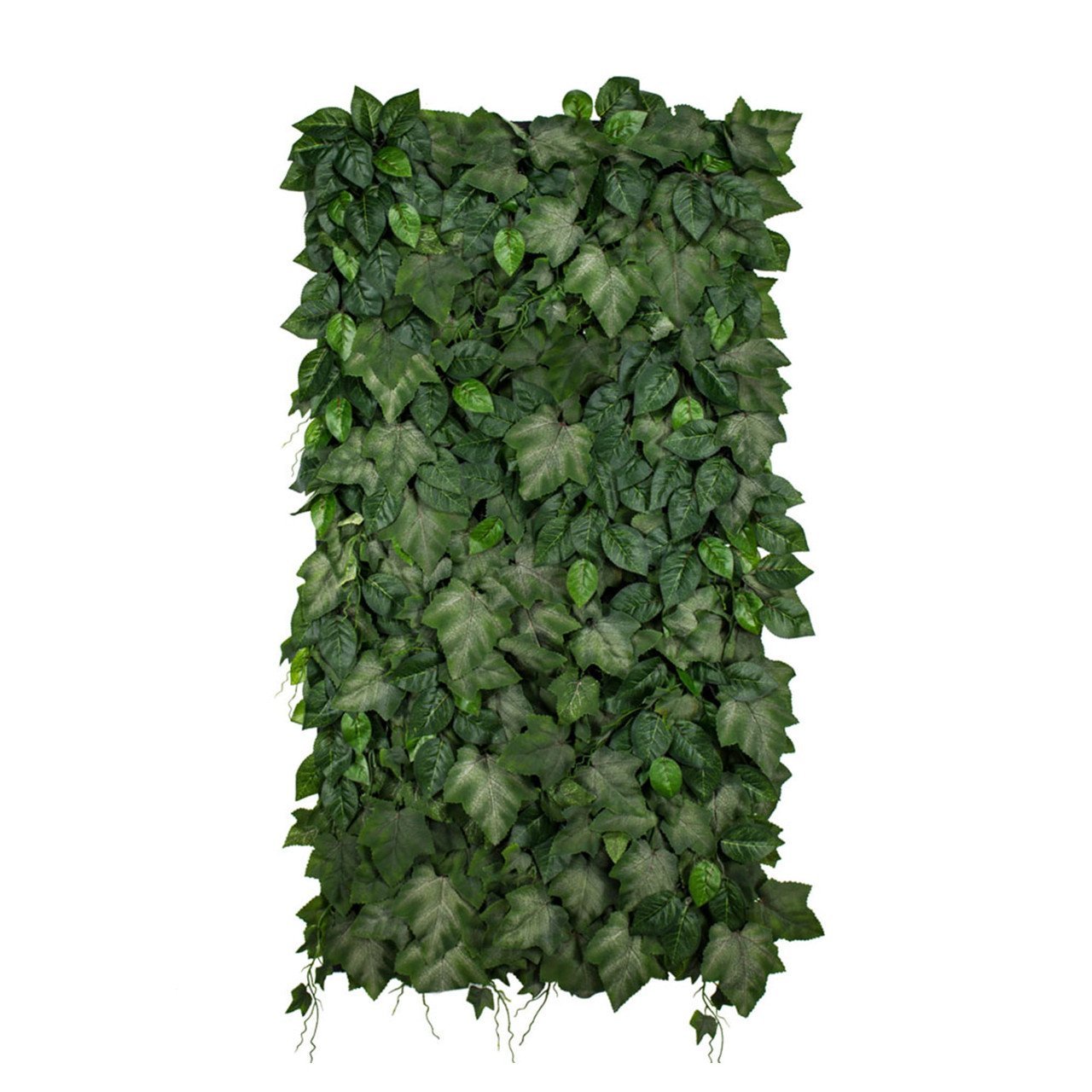 Jardin vertical Ivylace
