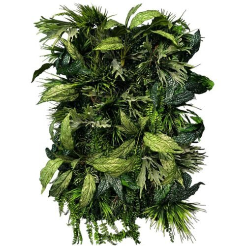 Jardin vertical Flora Twist en intérieur