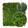 Mur vert Wronóg 50x50 cm en décoration murale végétale