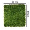 Mur vert Wronóg 50x50 cm en décoration végétale intérieure