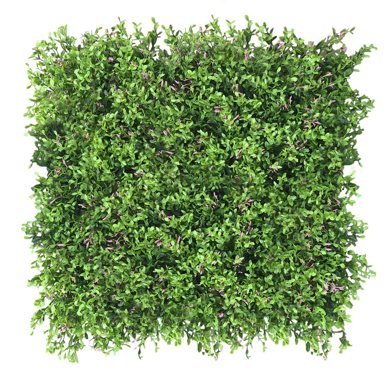 Mur vert Fumaria 50x50 cm