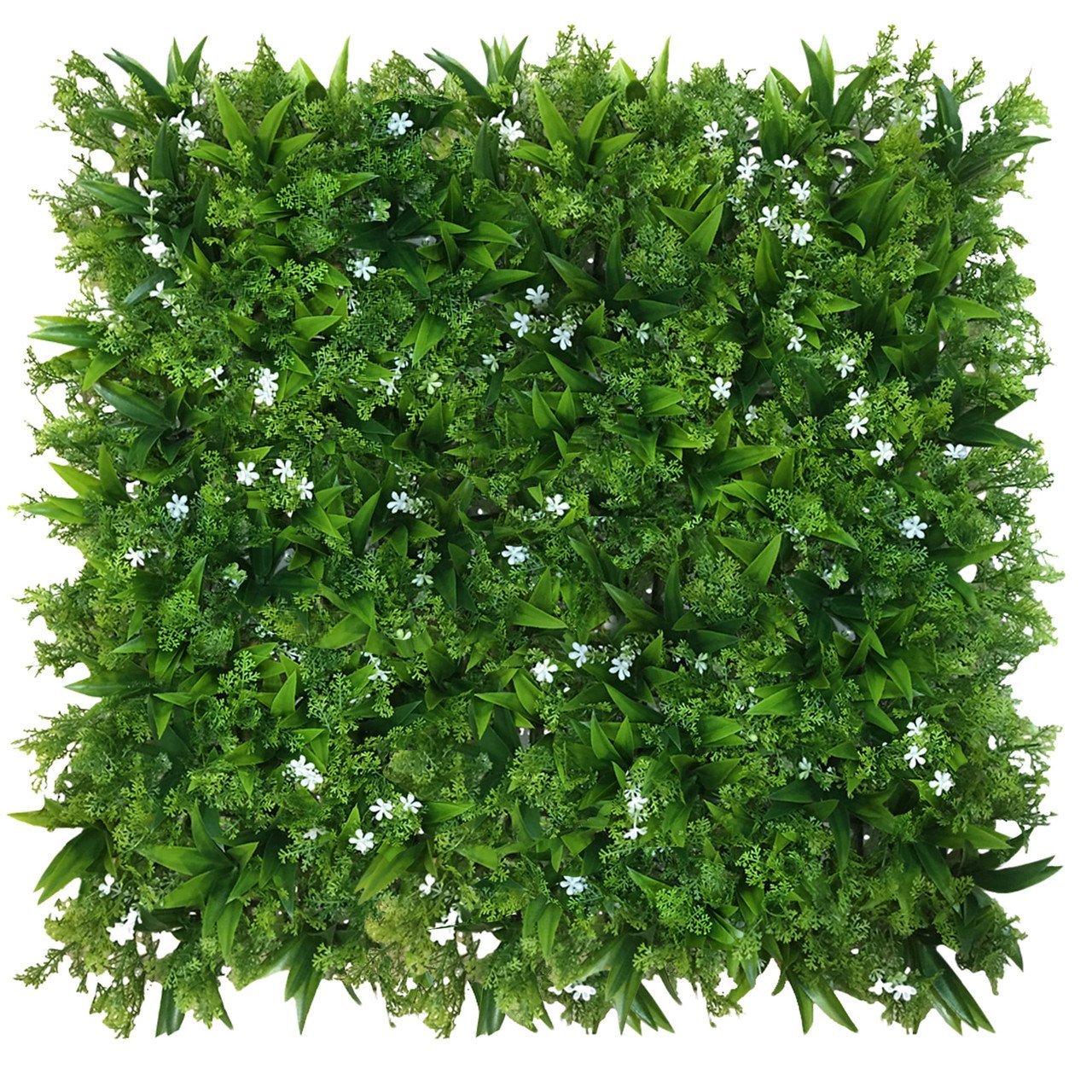 Mur végétal Rogownica 50x50 cm