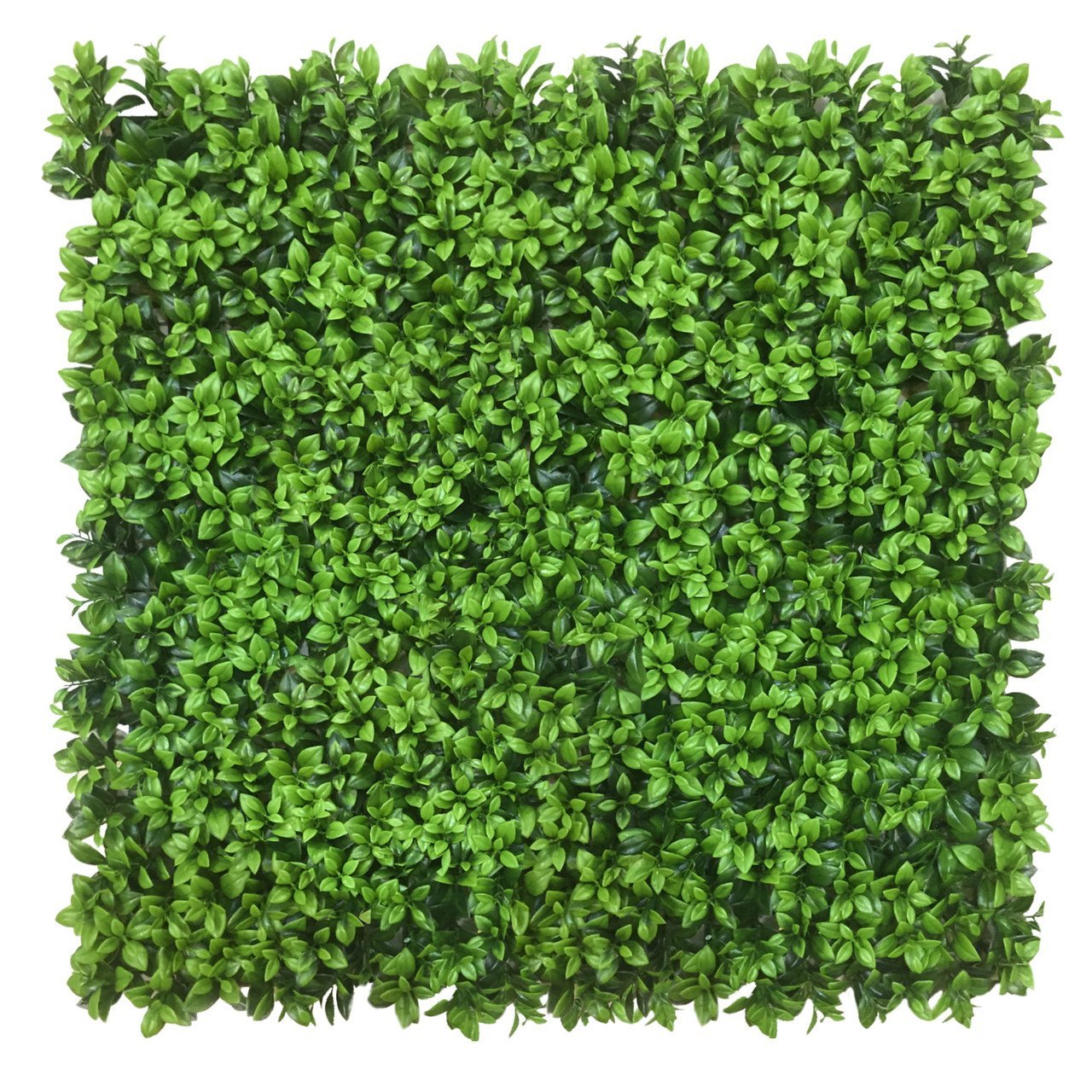 Mur végétal Lebiodka 50x50