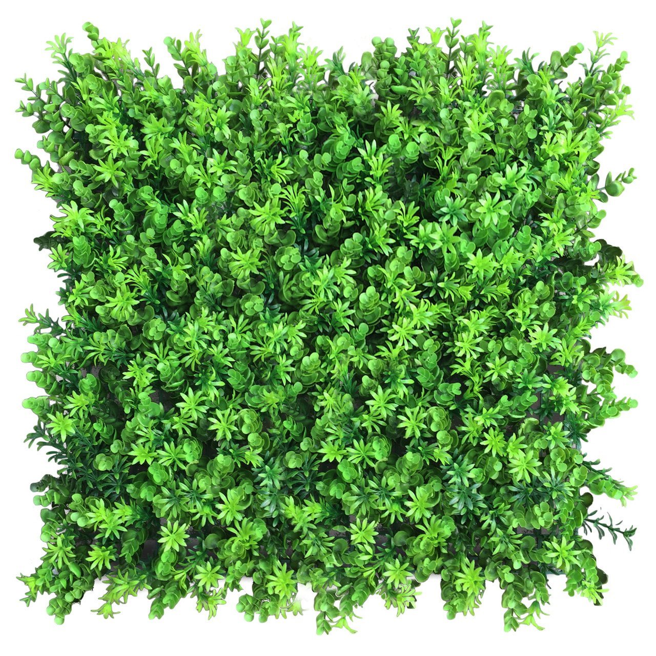 Mur végétal Wartołka 50x50 cm