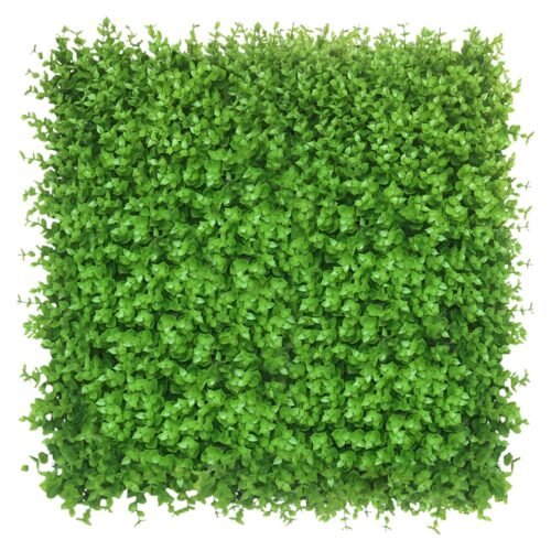 Mur végétal Wielomlecz 50x50 cm en position verticale