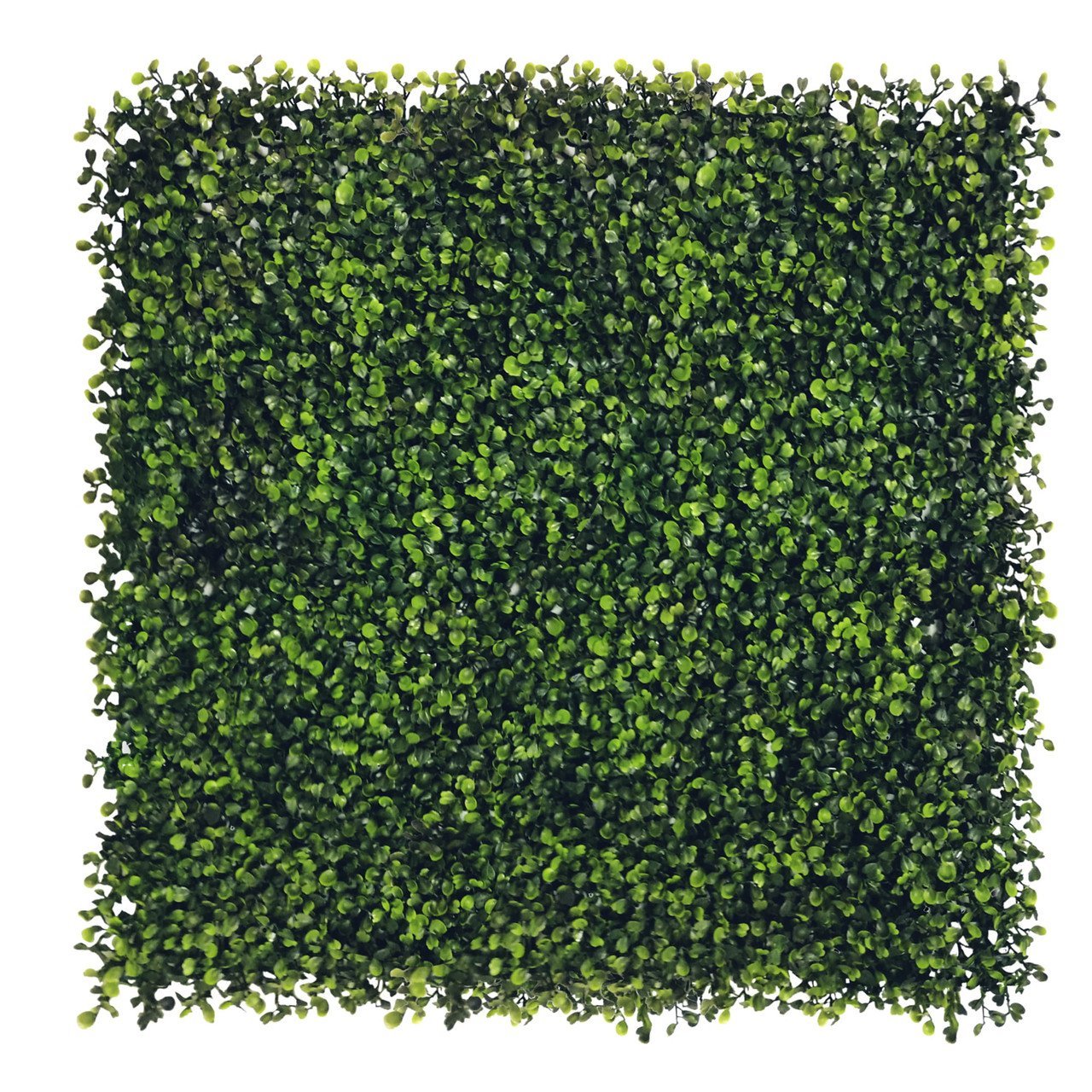Mur vert en bois 50x50 cm