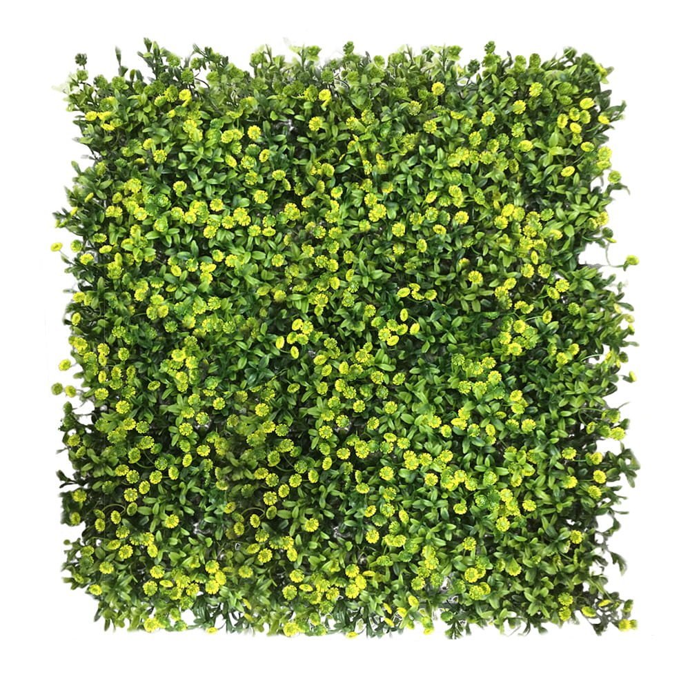 Mur végétal Ziarnopłon 50x50 cm