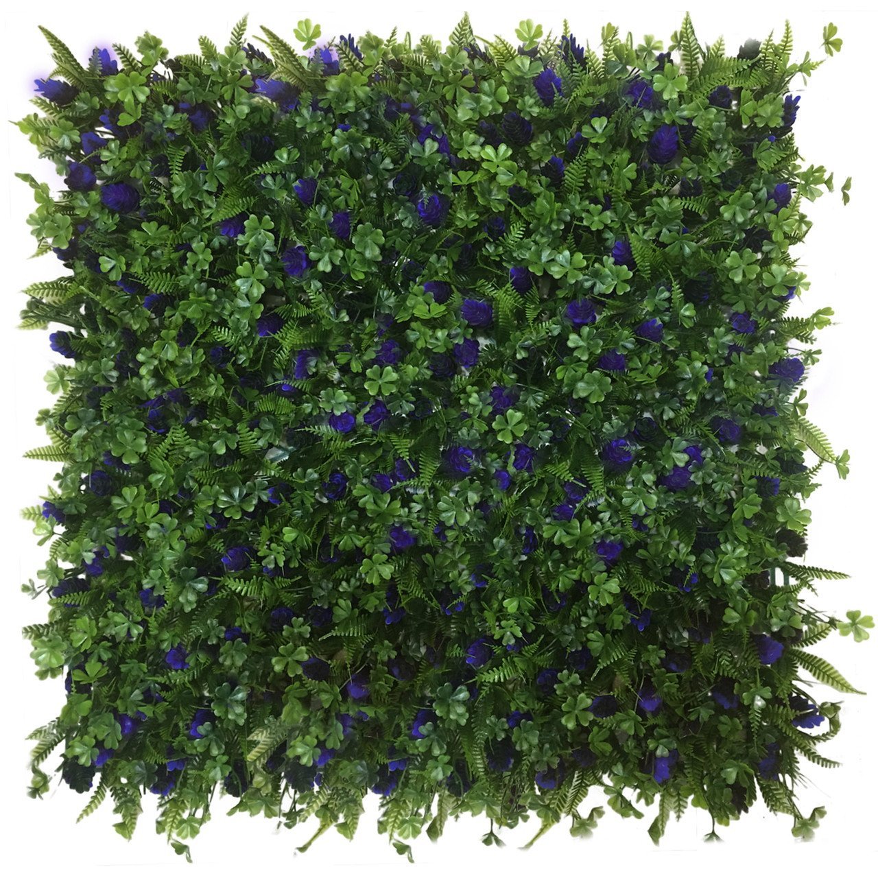 Mur végétal Glycine 50x50 cm