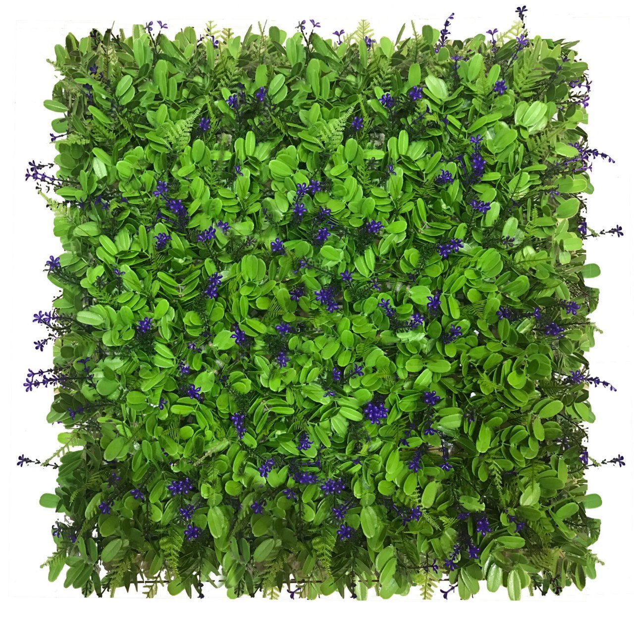 Mur végétal Niezapominajka 50x50 cm