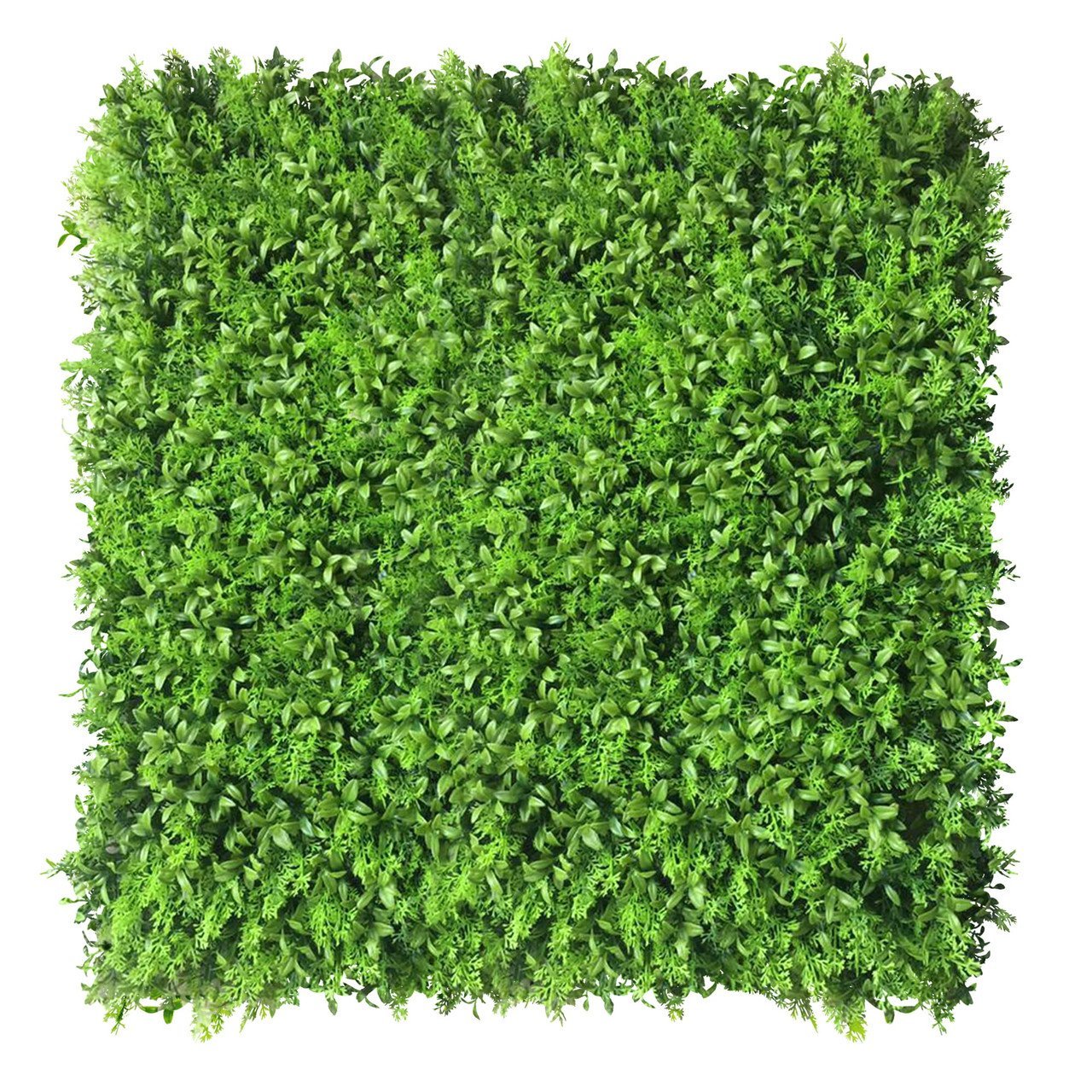 Mur vert Zmienka 50x50 cm