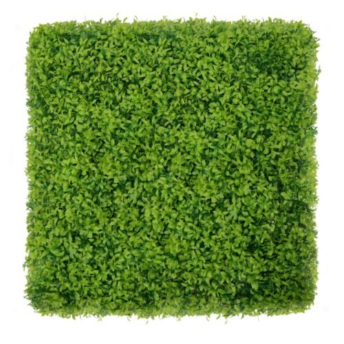 Mur végétal Buxus 50x50 cm fixé au mur