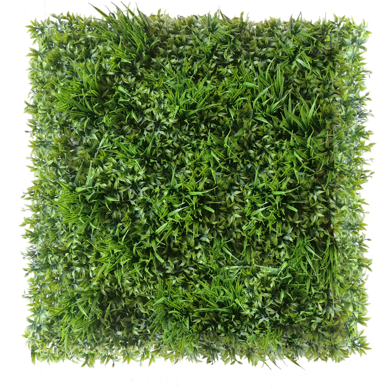 Mur vert Ruskus 50x50 cm