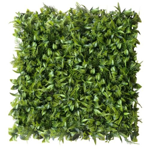 Mur végétal Peperomia 50x50 cm décoration murale naturelle